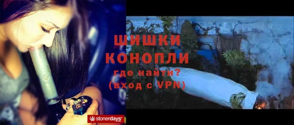 сатива Зеленокумск