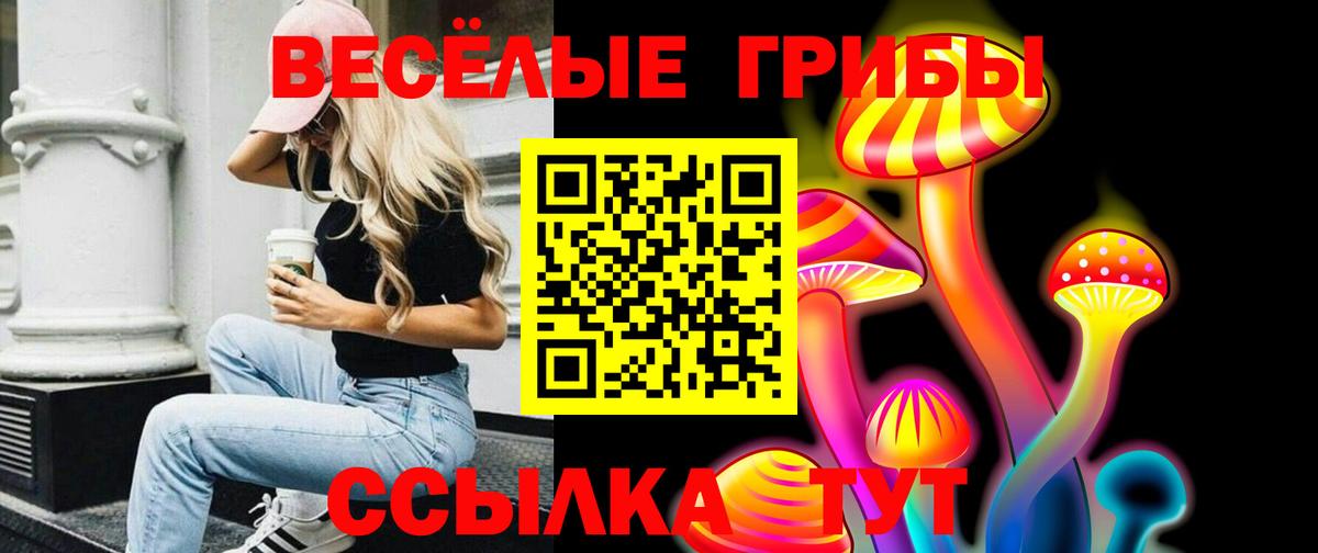 Галлюциногенные грибы мухоморы  Псилоцибиновые грибы прущие грибы  Вход с VPN  Соль-Илецк 