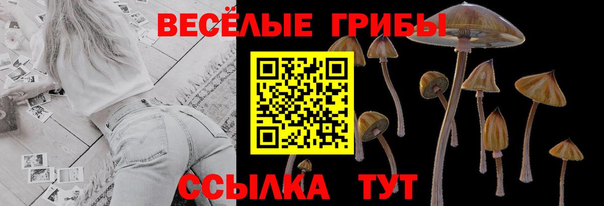 Псилоцибиновые грибы ЛСД Соль-Илецк